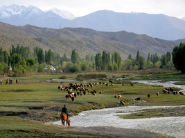 Central Asia Immersion Journey|East West Tours
